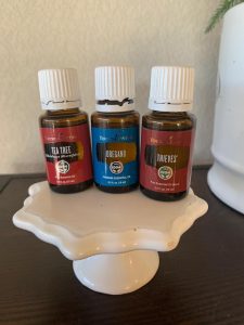 essential oils as medicines young living oils oregano teat tree thieves
